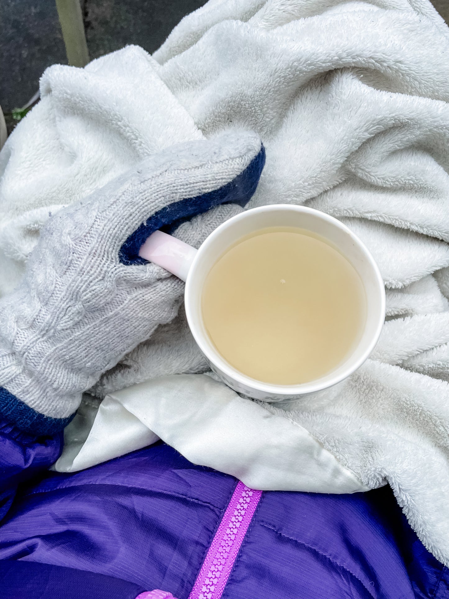 Traditional Medicinals Organic Ginger Tea