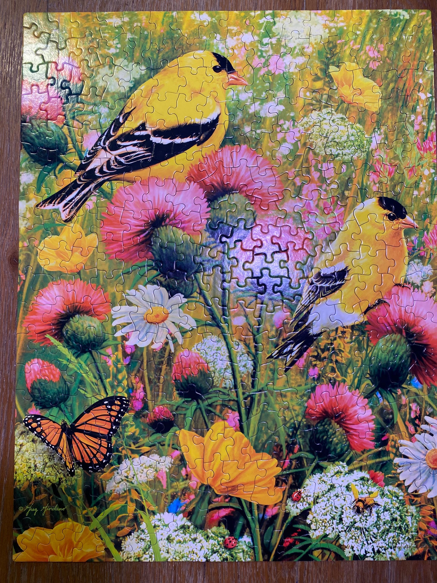 Springbock Goldfinches 350 Piece Puzzle