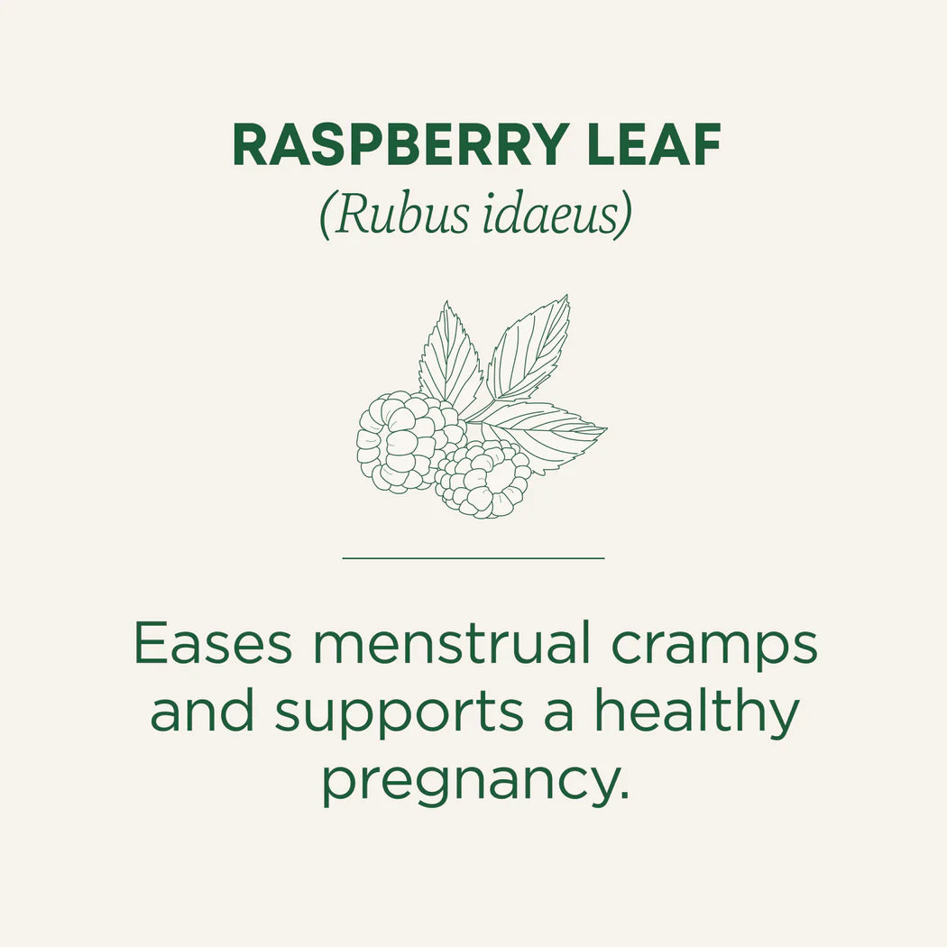 Traditional Medicinals Organic Raspberry Leaf Tea