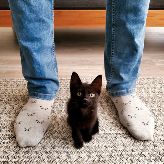 Socks that Save Cats - Gray Cats with Whiskers