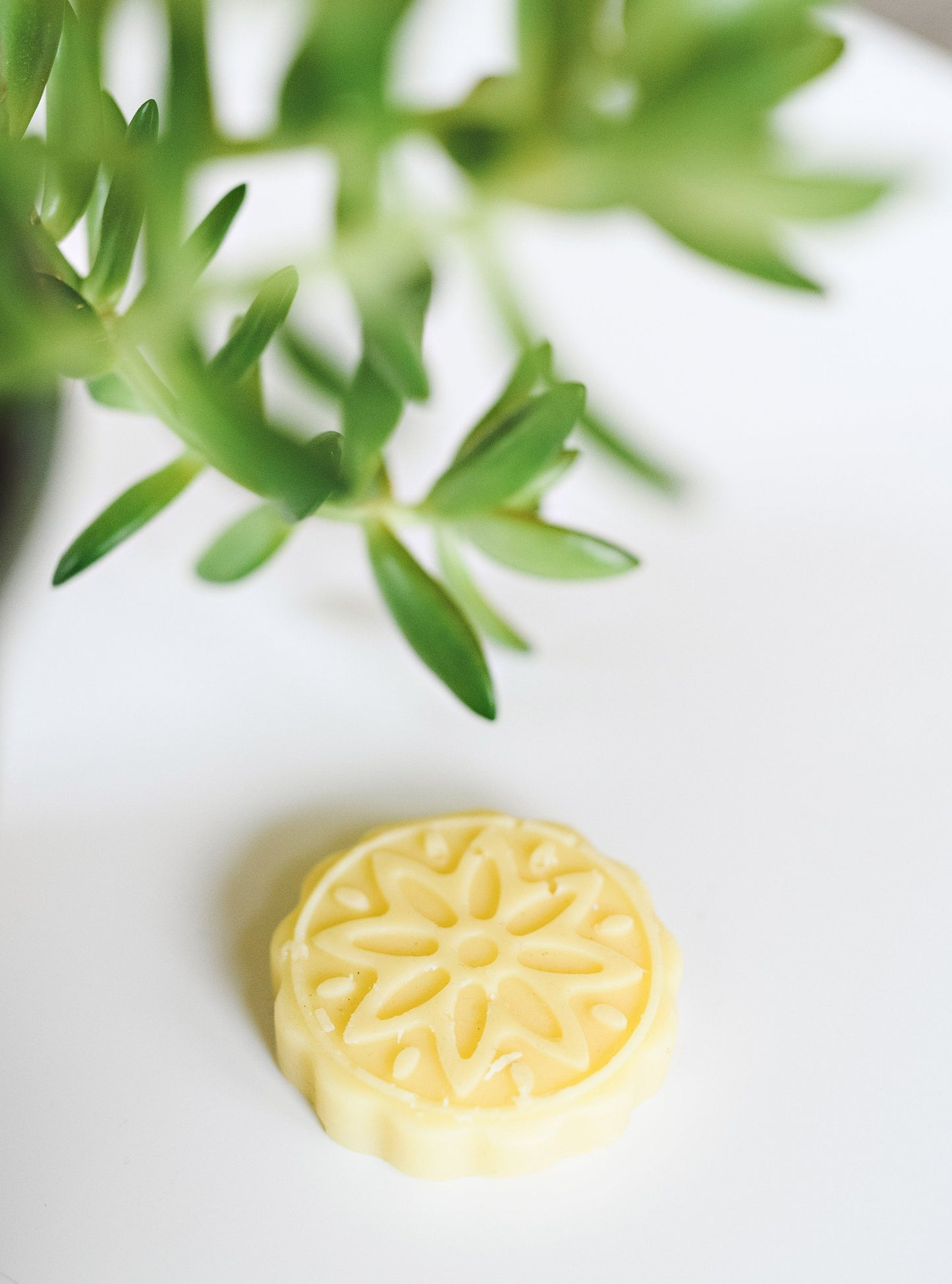 Mandala Organic Naked Solid Lotion Bar