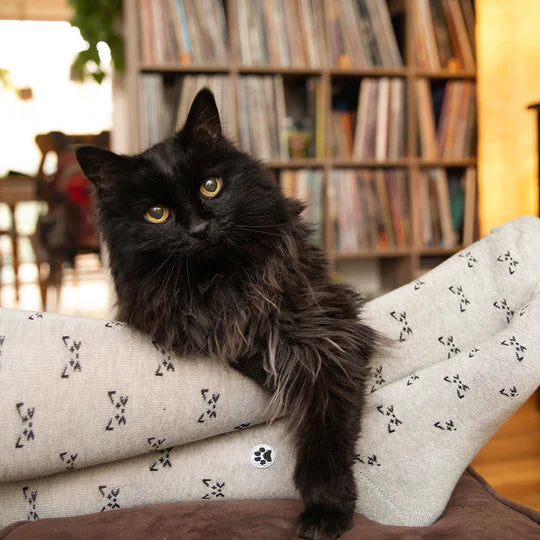 Socks that Save Cats - Gray Cats with Whiskers