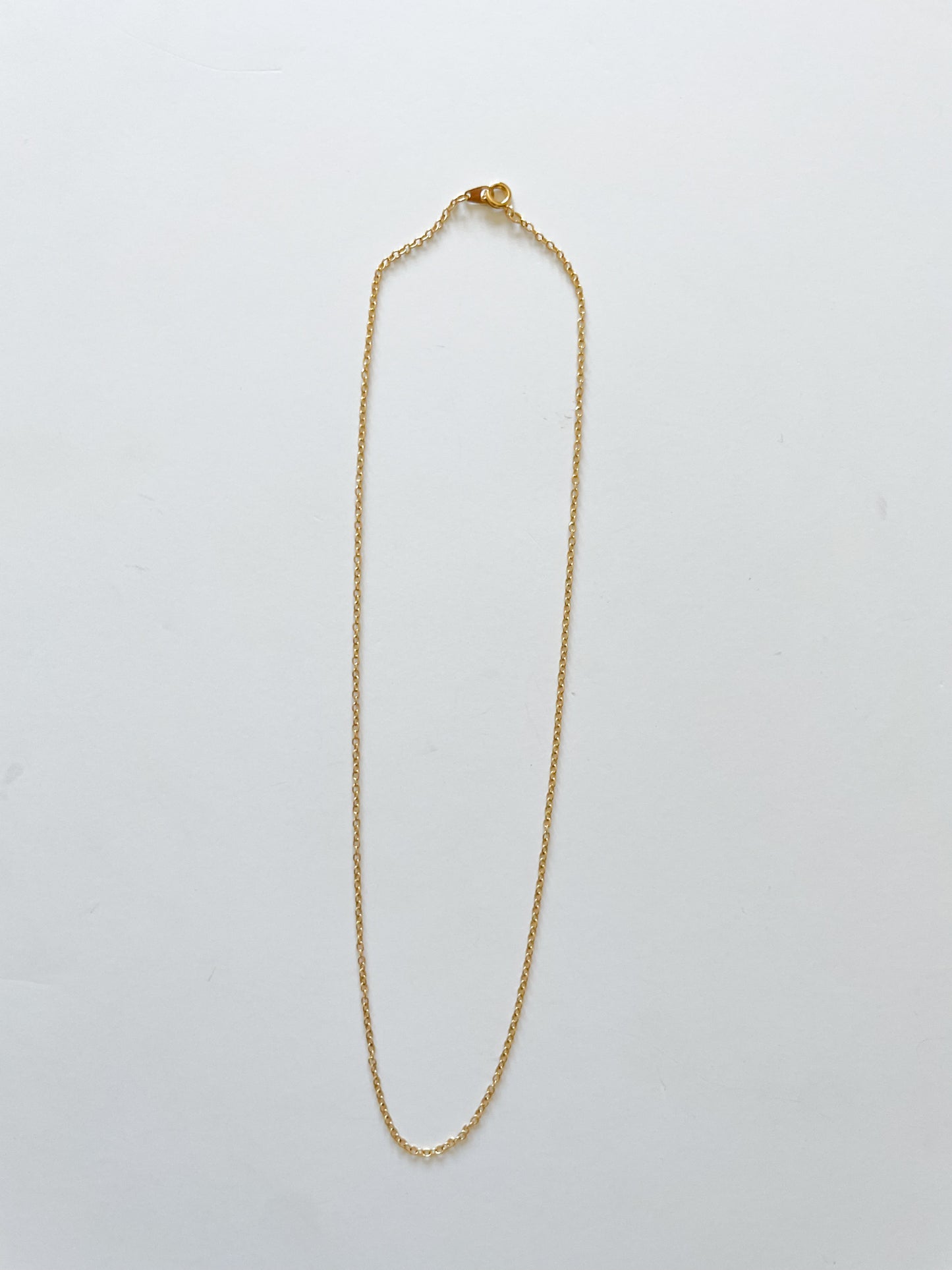 Delicate Gold Shiny Chain Necklace