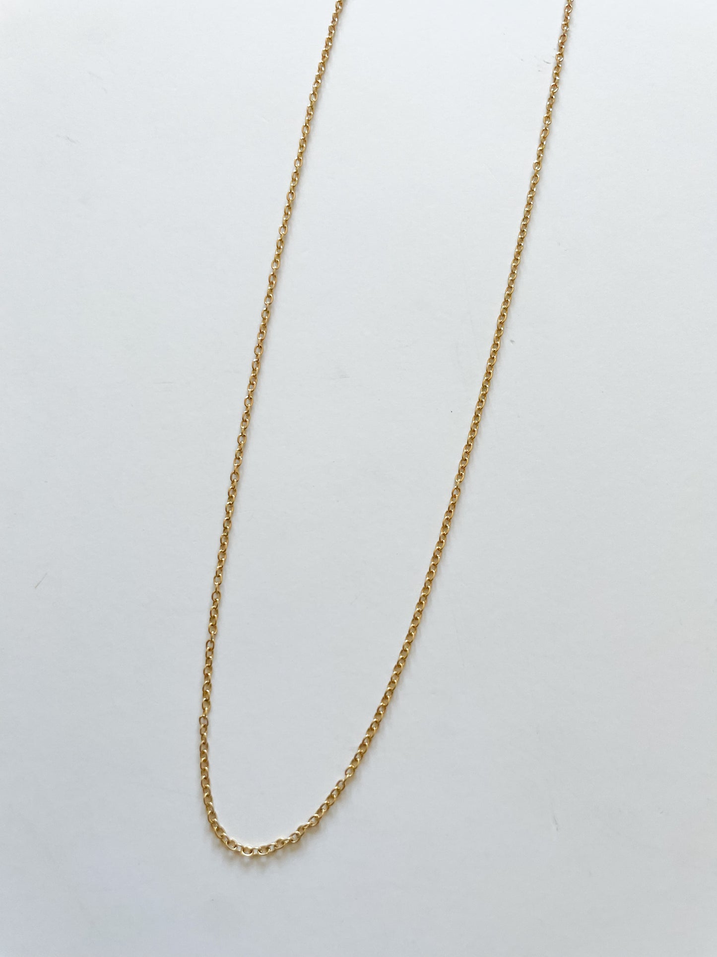 Delicate Gold Shiny Chain Necklace