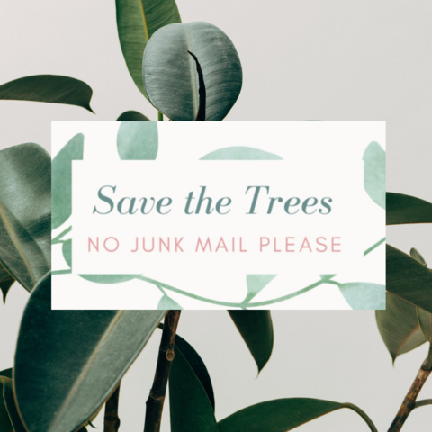 How To Save Trees and Cut Down on Waste