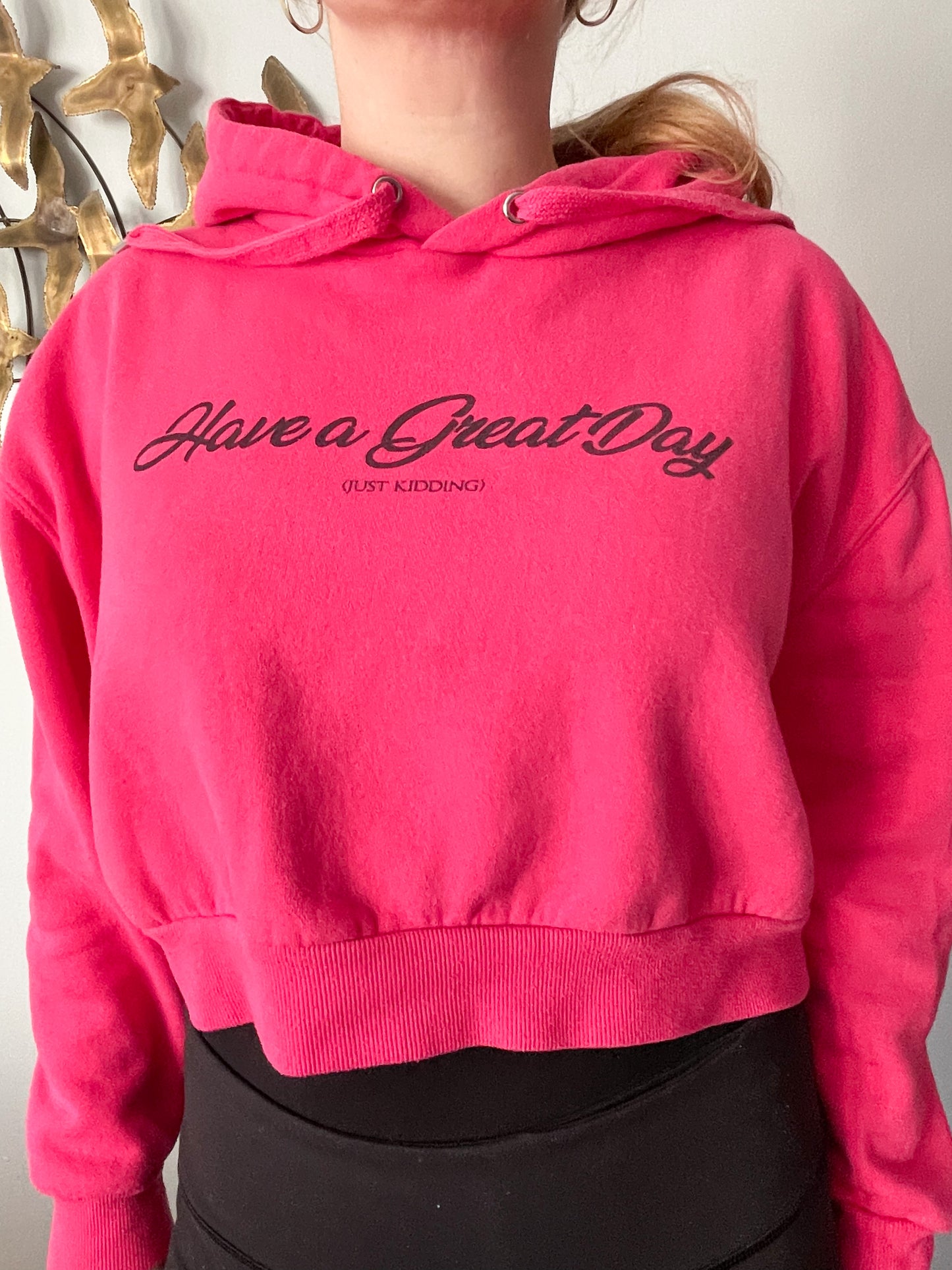 Have a Great Day Ironic Graphic Pink Cropped Hoodie Sweater - S/M/L