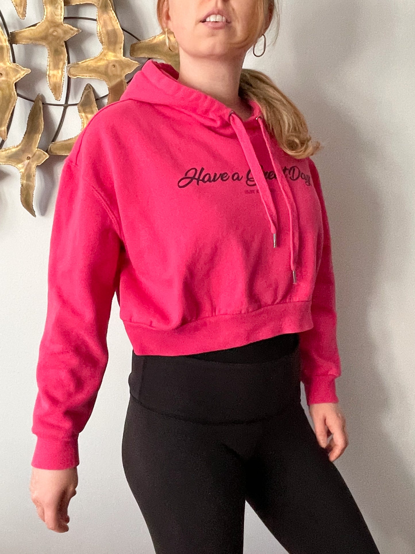 Have a Great Day Ironic Graphic Pink Cropped Hoodie Sweater - S/M/L