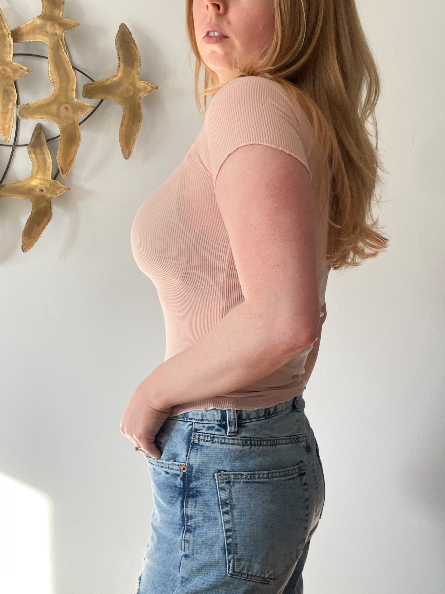 Blush Pink Ribbed Stretch Cropped Top - XS/S