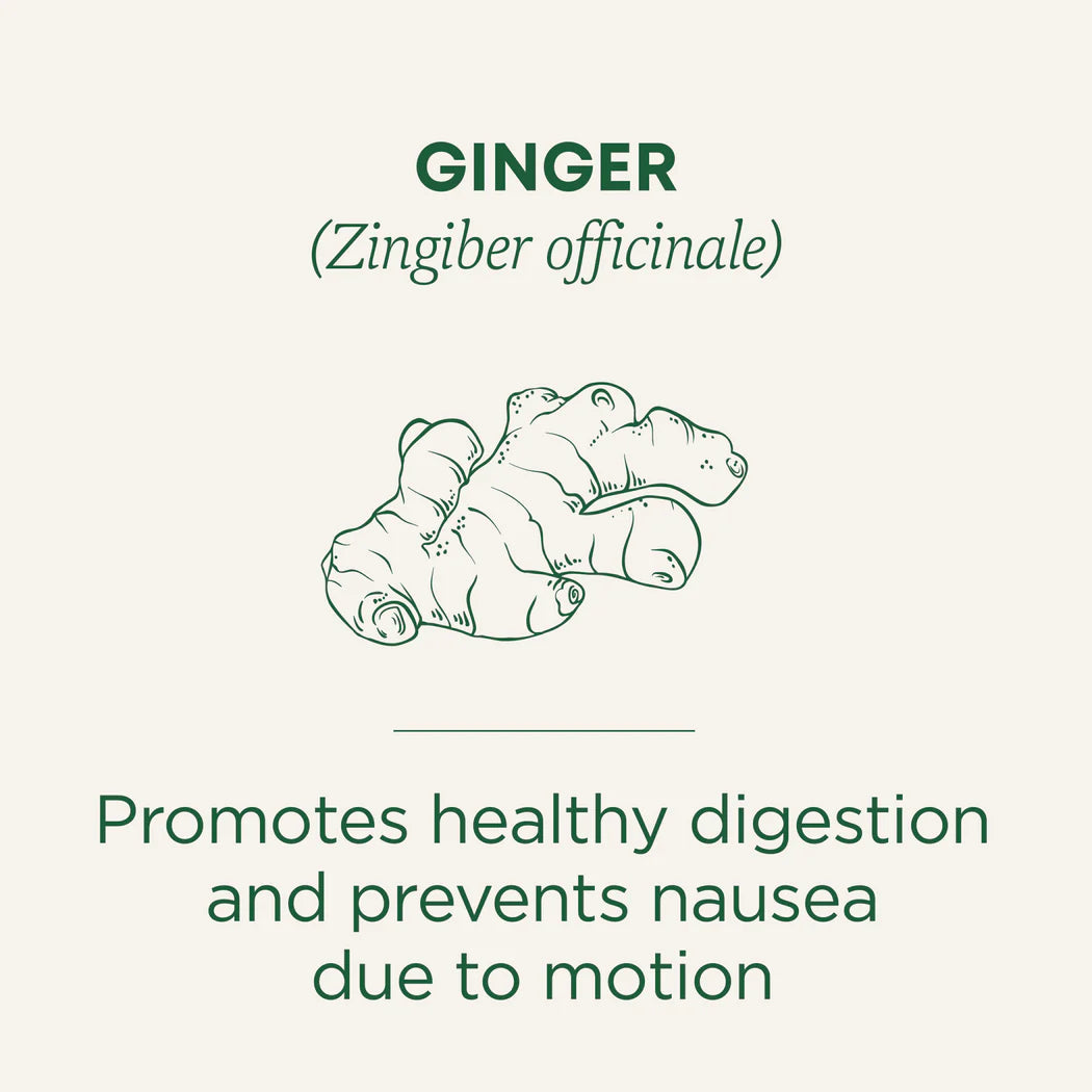 Traditional Medicinals Organic Ginger Tea