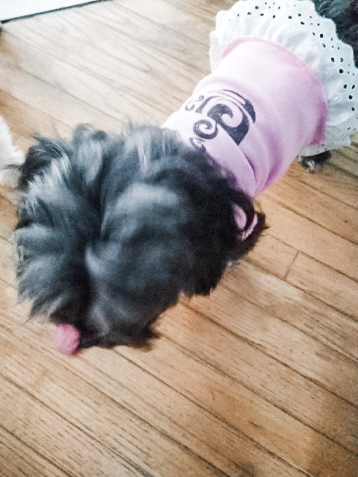Pink Latte with Lace Tutu Eco Pretty Reimagined Pet Shirt