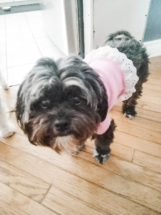 Pink Latte with Lace Tutu Eco Pretty Reimagined Pet Shirt