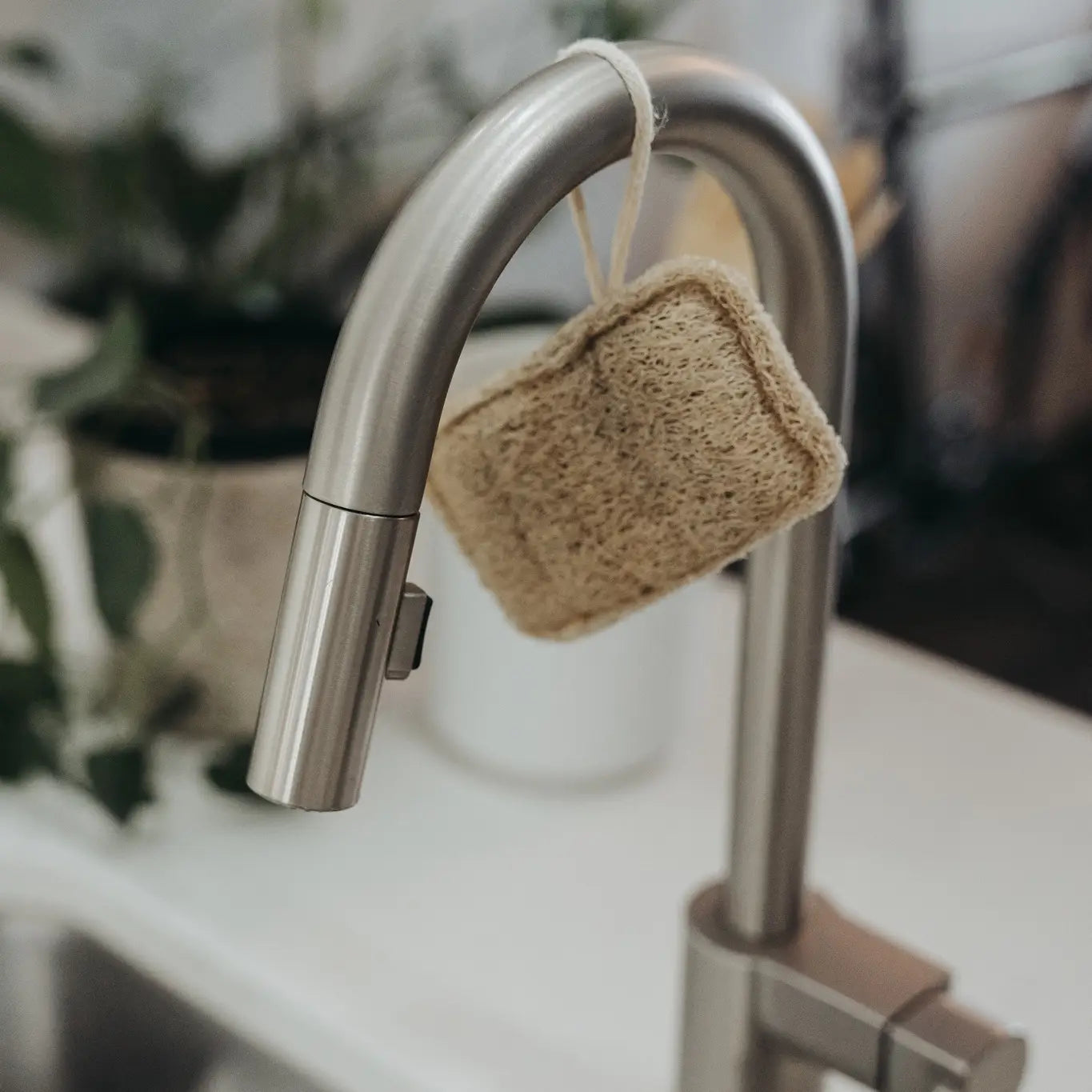 Natural Loofah Dish Sponge - 3 Pack