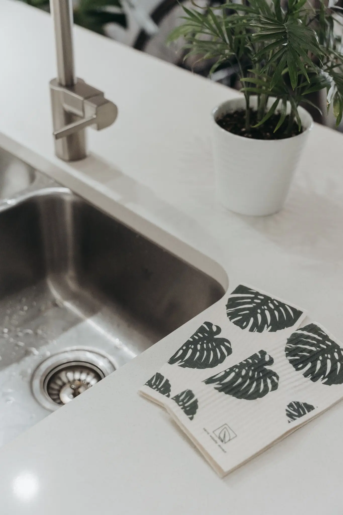 Reusable Dish Cloth | Swedish Dishcloth | Monstera Print - 2 Pack