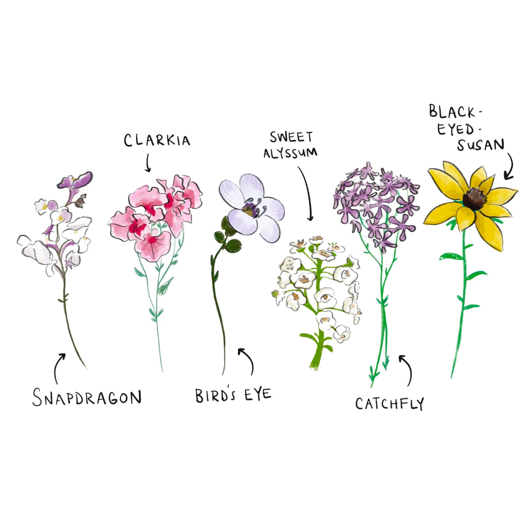 You're A Pizza Me Plantable Pun Greeting Card