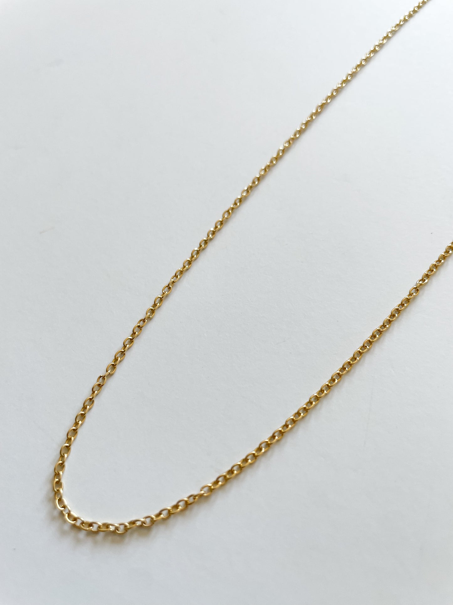 Delicate Gold Shiny Chain Necklace