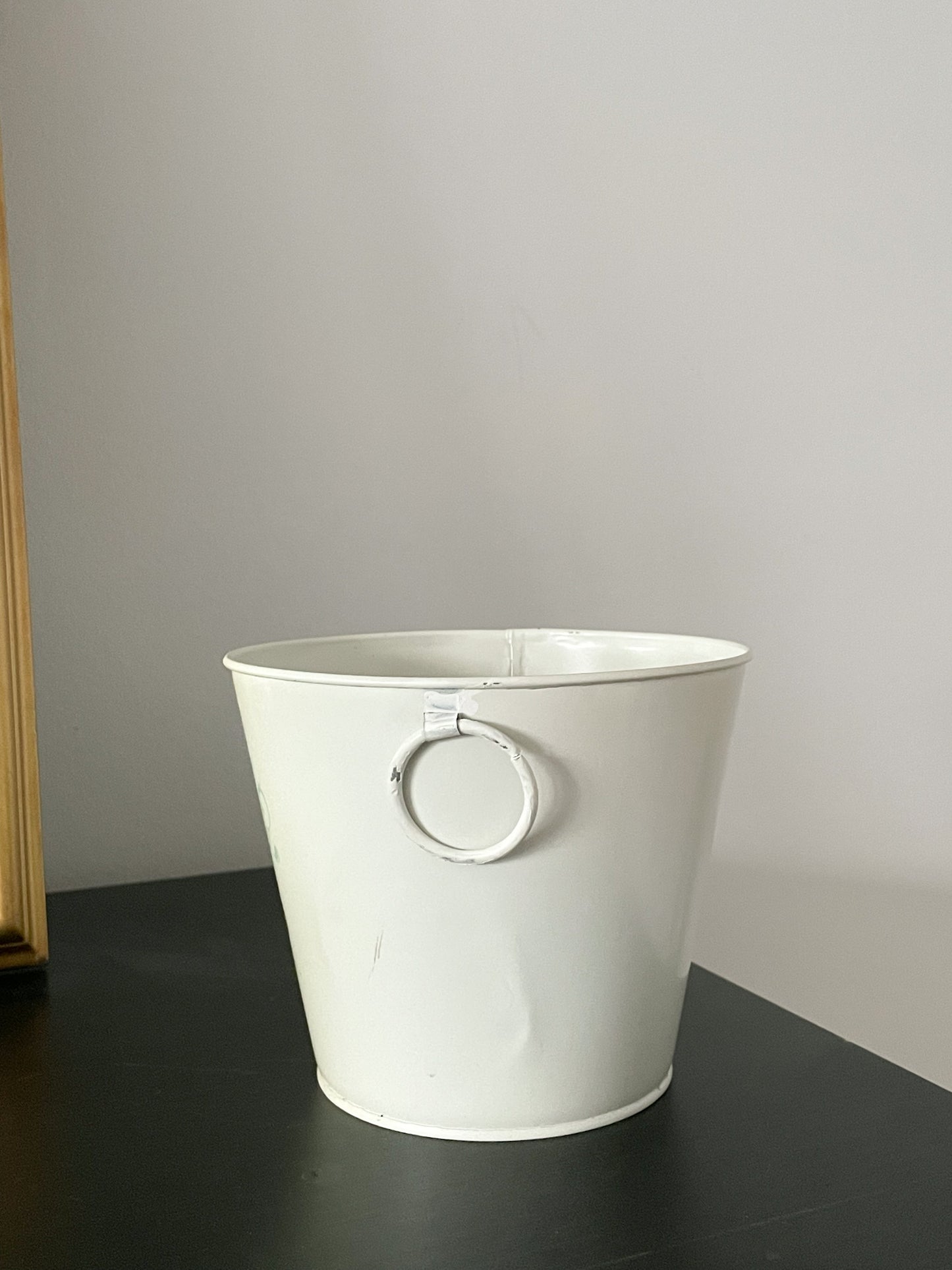 Cream Metal Jardin Plant Graphic Bucket Planter