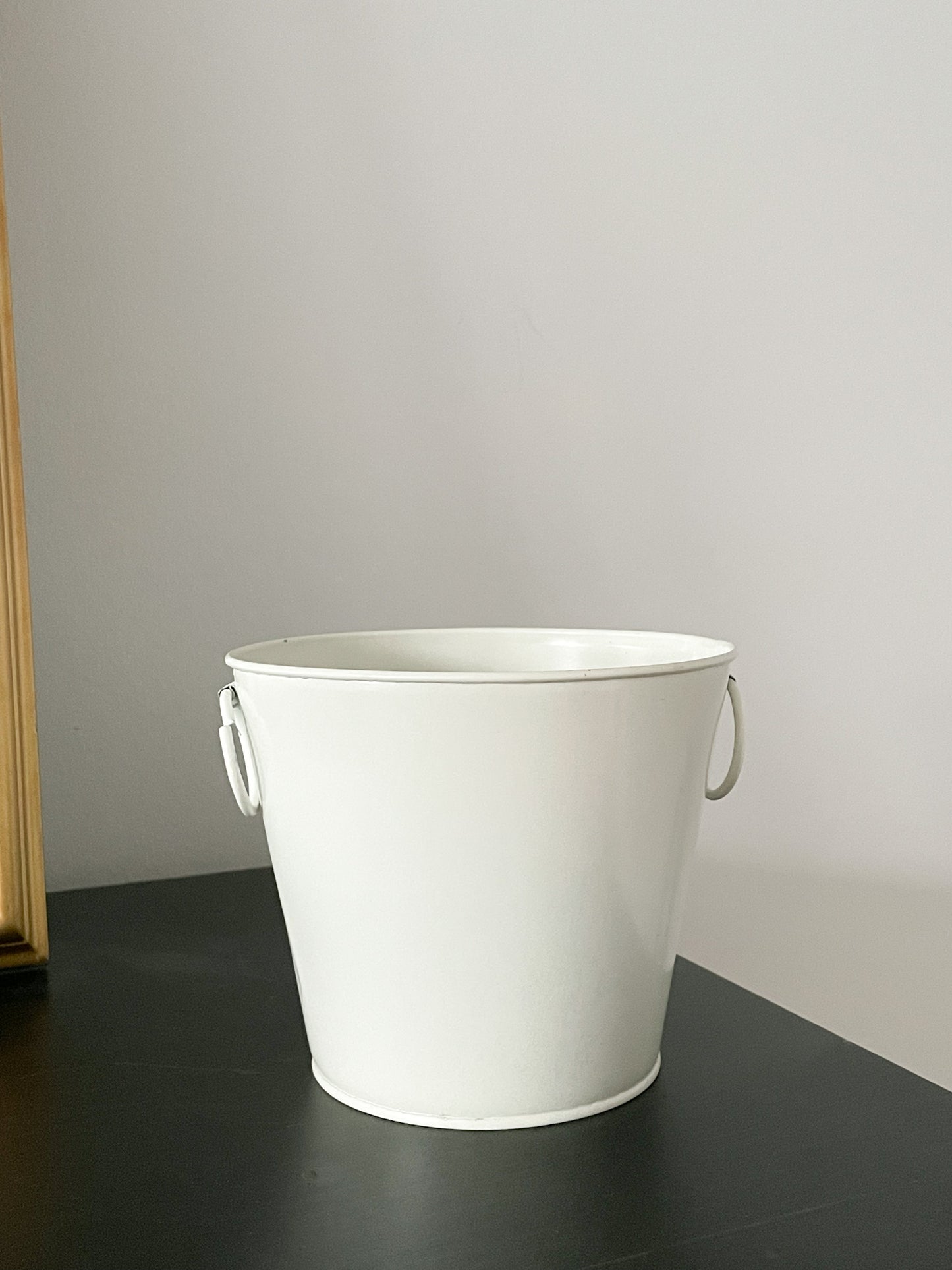 Cream Metal Jardin Plant Graphic Bucket Planter
