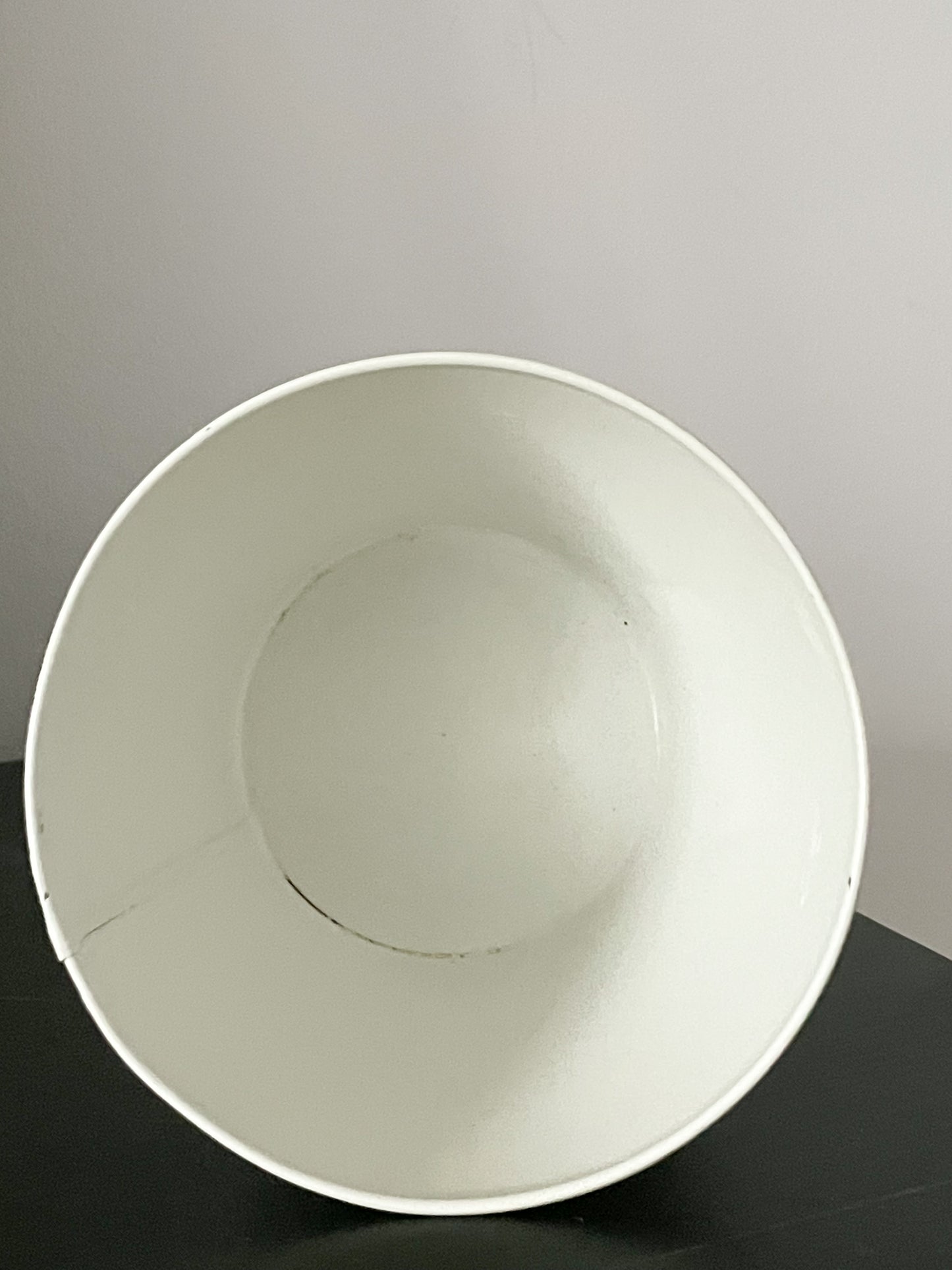 Cream Metal Jardin Plant Graphic Bucket Planter