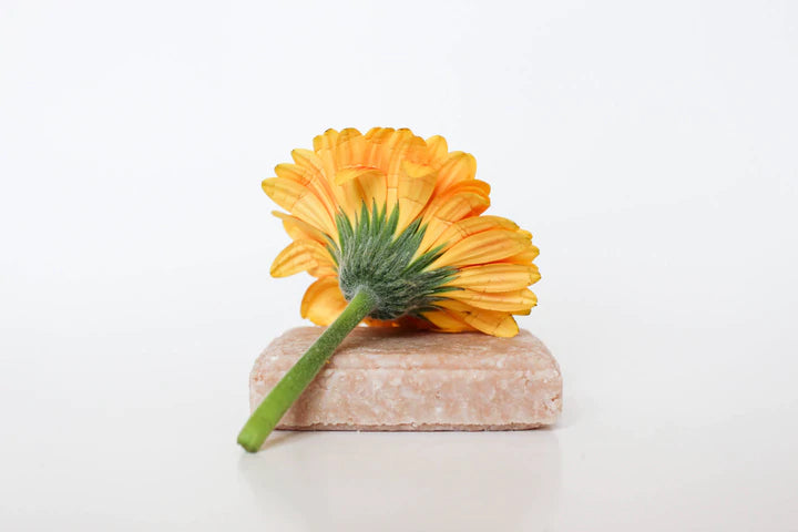 Suds Shampoo Bar - FLORAL