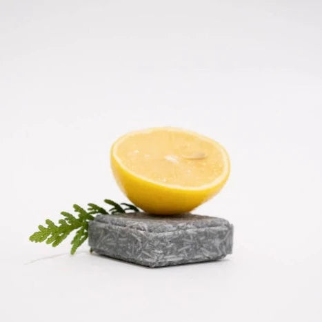 Suds Shampoo Bar - FRESH