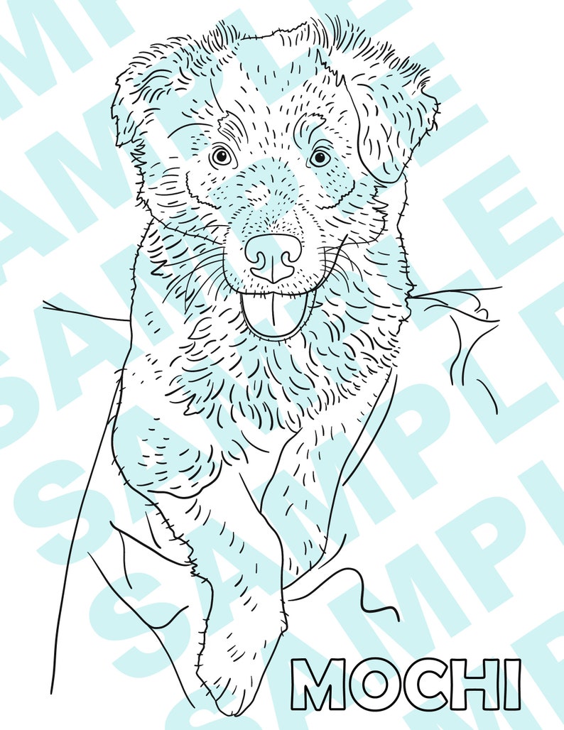 Dog Edition Vol. 2 - Charitable Colouring Book