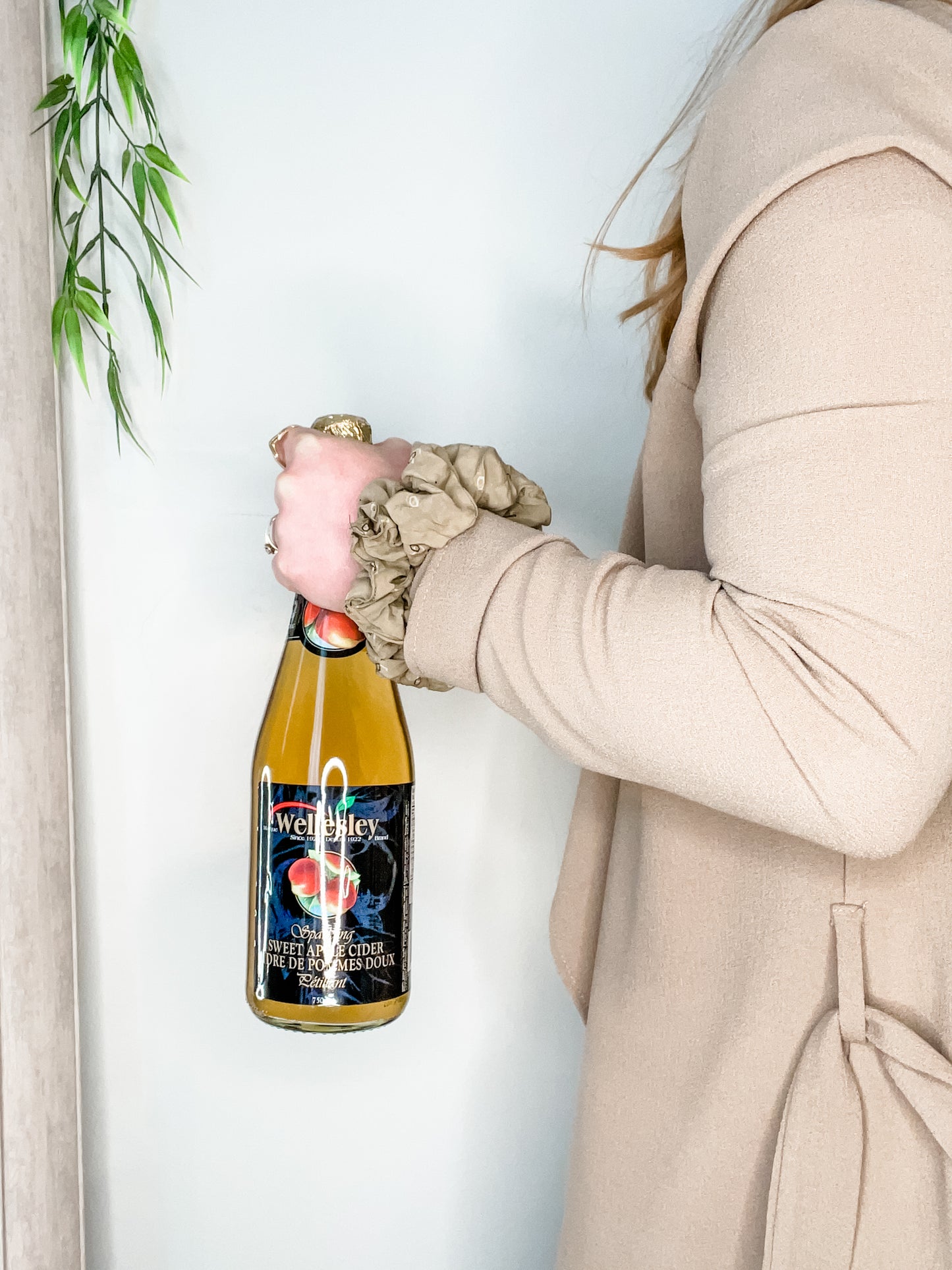 Wellesley Sparkling Sweet Apple Cider 750ml - Preservative Free & No Added Sugar