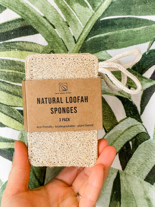 Natural Loofah Dish Sponge - 3 Pack