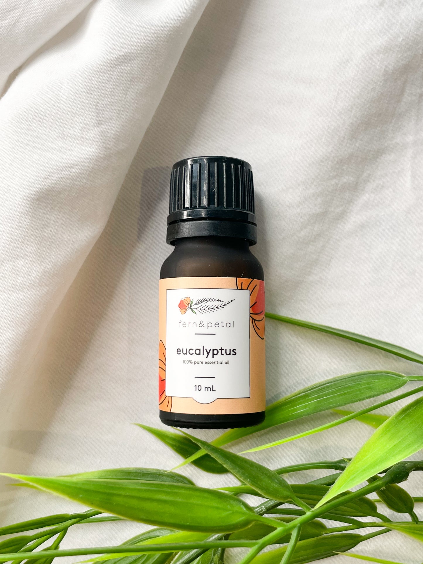 Eucalyptus Essential Oil - 10ml