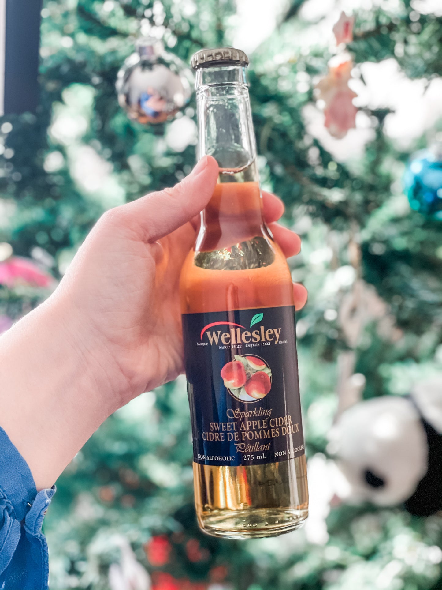 Wellesley Sparkling Non-Alcoholic Sweet Apple Cider 275ml - No Added Sugar & Preservative Free
